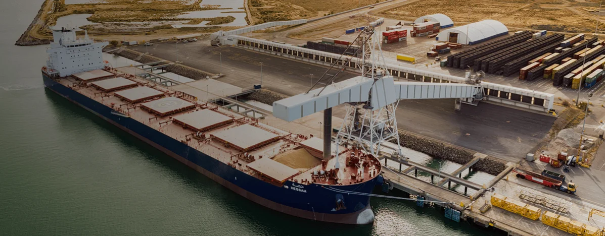 Container ship in the harbour