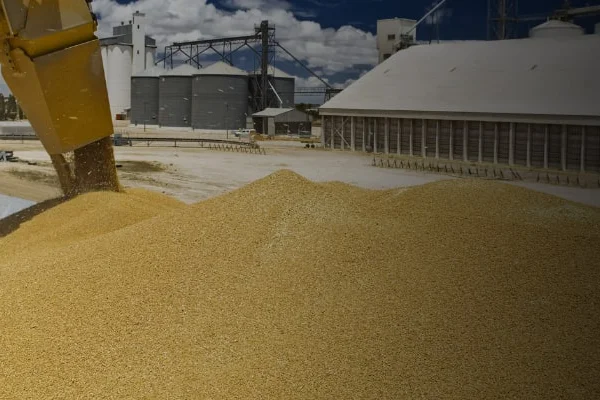 Storage and handling of grain and seeds