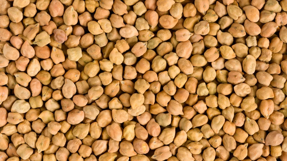 Desi chickpeas.jpg